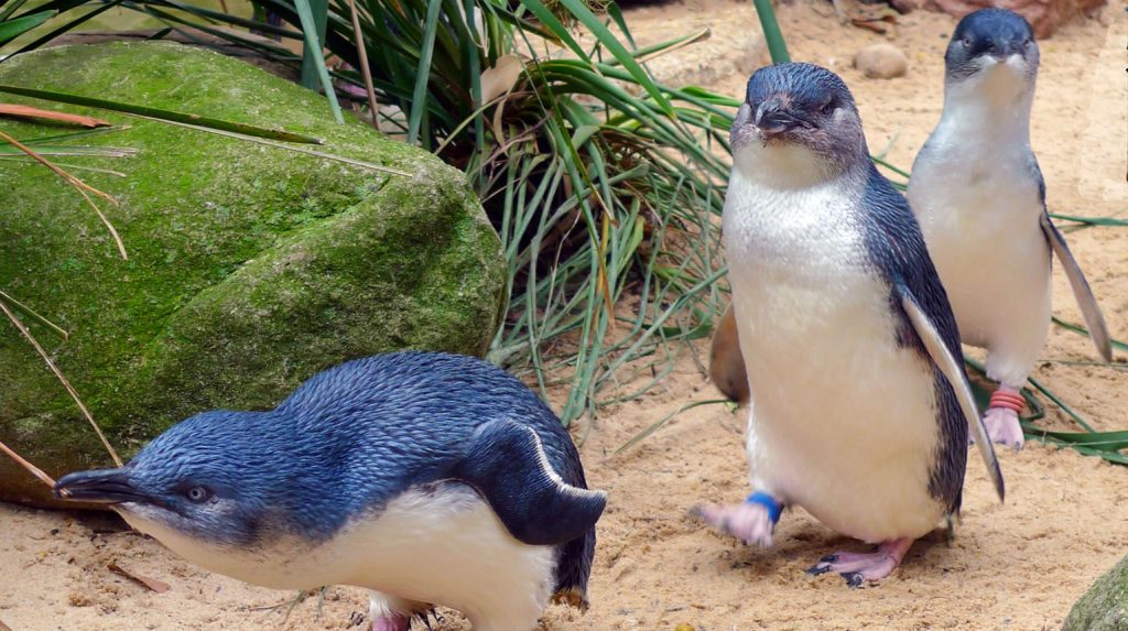 Depositphotos_24144143_XL