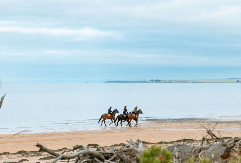 Screenshot 2025-03-18 132516